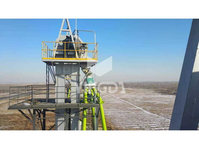 TDG鋼絲繩芯帶式鬥式提升機(jī)